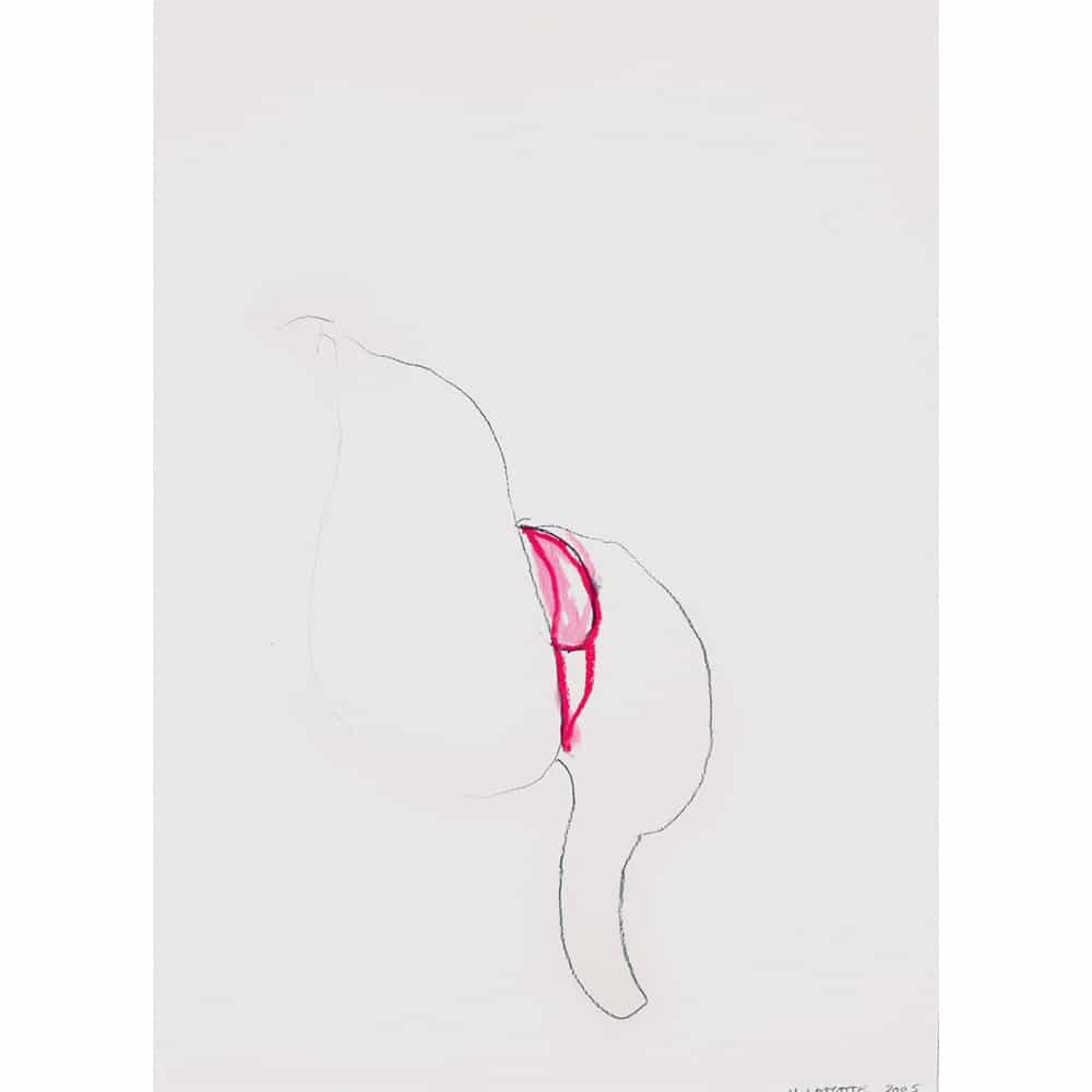 2008 - Avril - Juin - Natalie Lamotte - p. 143 - 2005 D31 30x21cm, pastel sur papier